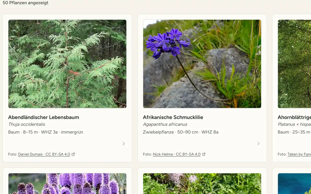 Pflanzenkatalog mit Fotos, botanischen Namen, Wuchshöhe und Winterhärtezone